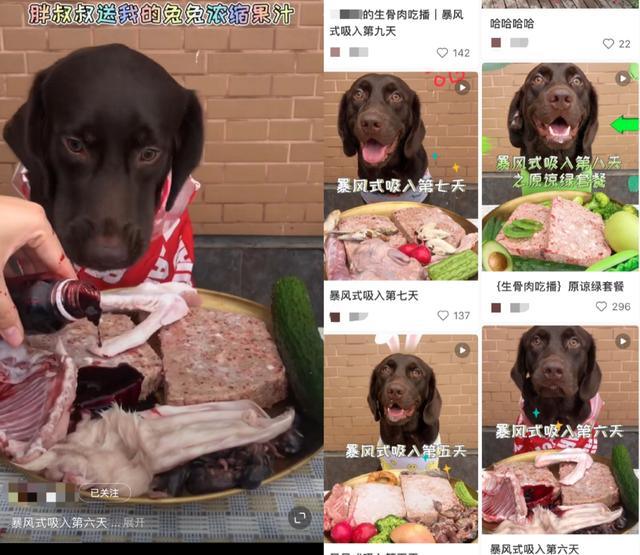 博主在留言区解释，兔兔浓缩果汁就是兔血