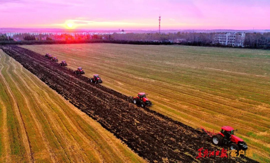 丰收北大荒壮美新画卷