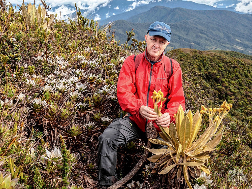 △今年6月份，生物学家Fernando Alzate在哥伦比亚西北部的一座山上，发现了一个安第斯菊属旱生植物新物种，它是维持河流和溪流流动的关键植物。