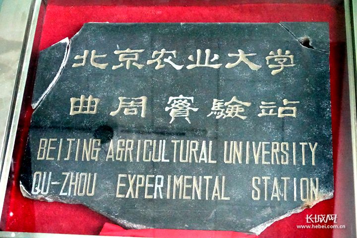 中国农业大学（原北京农业大学）曲周实验站的老门牌。长城网记者 刘延丽 摄