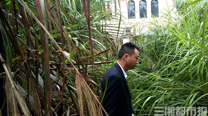 图片来源：三湘都市报