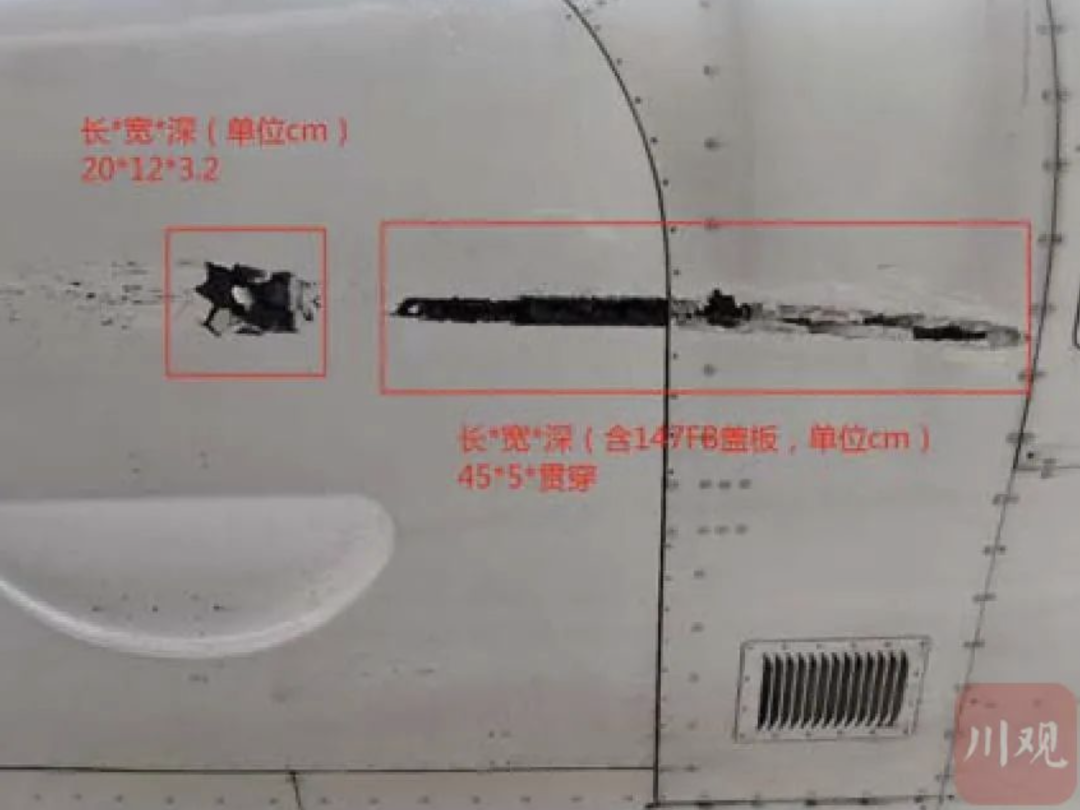 机身多部位受伤（图片来源：川报观察选自调查报告）