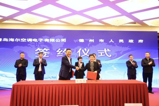 德州市委副书记,德州市长杨洪涛,德州副市长张桂爱,武城县委书记张磊