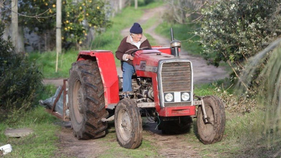 开拖拉机干农活的穆希卡（BBC）