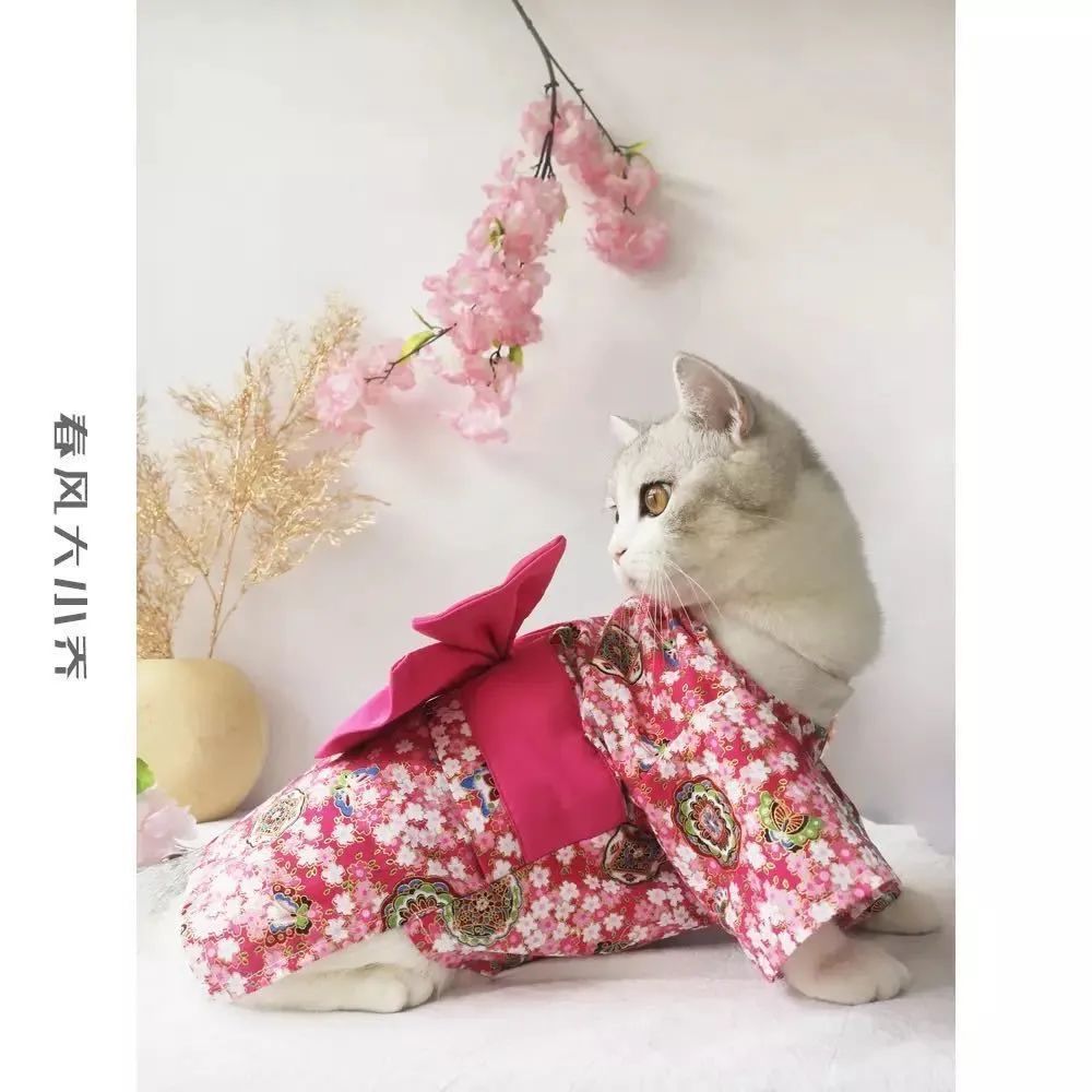 猫咪汉服|图片来自淘宝店铺‘春风大小乔’