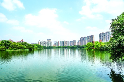 2020城市价值排名_2020年酒类品牌价值排行榜解读中国酒类100强