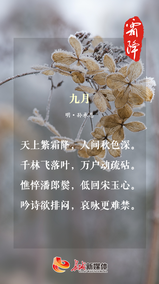 霜降61诗节丨感受深秋的美好 邂逅时光里的暖