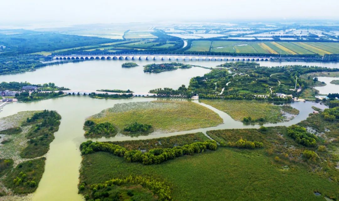 北方第一大淡水湖,这里的山东有多野?