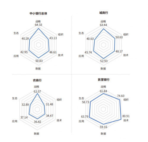中小银行金融科技发展能力六维雷达图