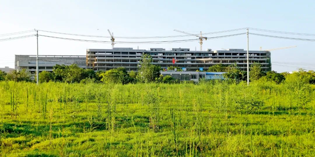 8月下旬，武汉临空港经济技术开发区内的弘芯项目建设工地。图/人民视觉