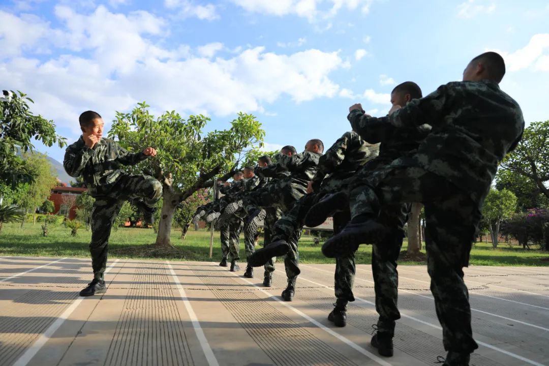 擒敌拳看到一个个子不高的新战士新兵大队训练场笔者走进武警第二机动