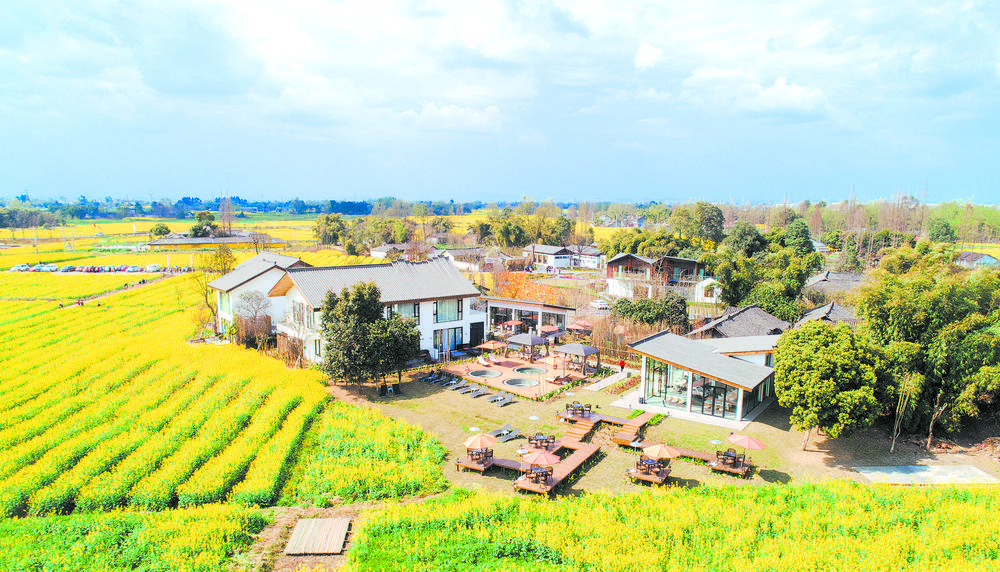 大邑南岸美村网红民宿