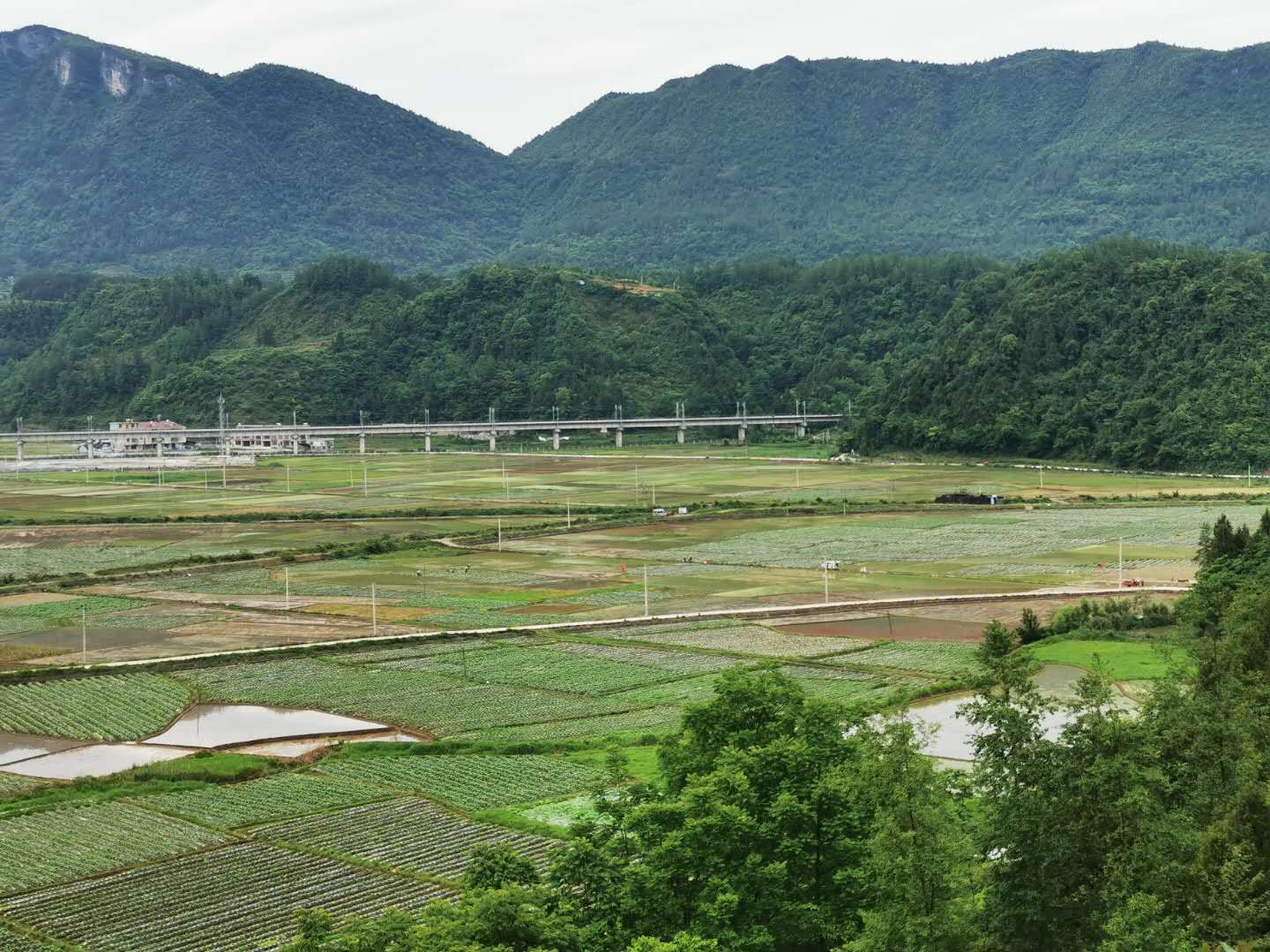 龙山县高标农田建设成为实实在在的民心工程