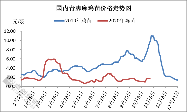 市场鸡苗量减少 苗价略有反弹