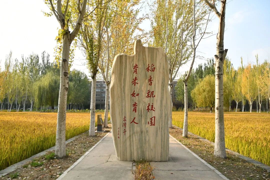 【稻田】11【八王书院】你都猜到吗?快给自己点个赞吧!