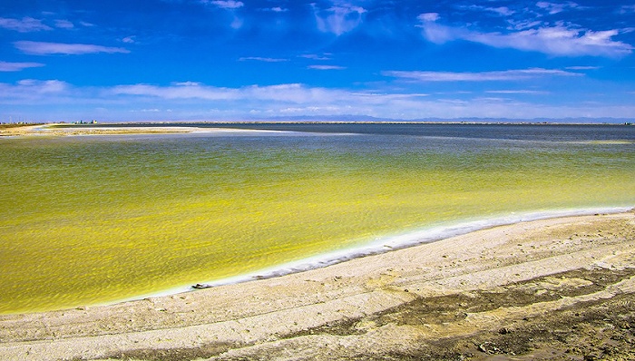 *ST盐湖前三季度扭亏为盈 离恢复上市还有多远？