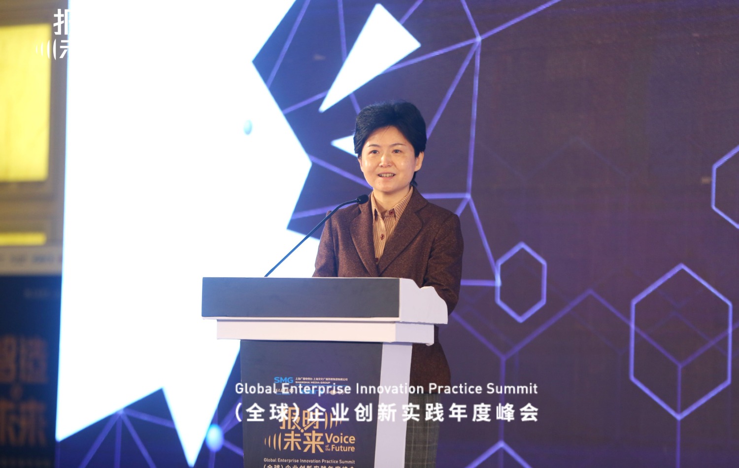 图片说明:中共长宁区委副书记,区长王岚讲话