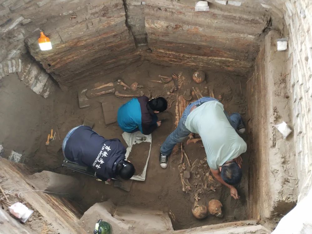 考古新发现双辽农家院挖出古墓