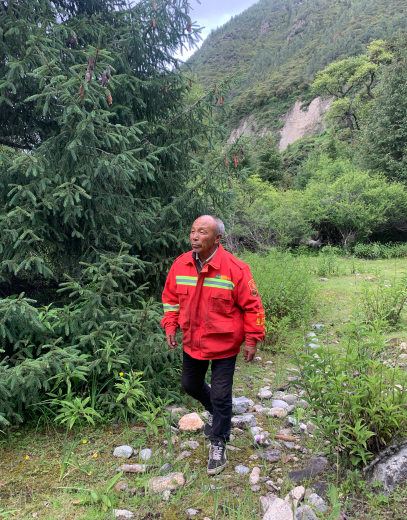 最美护林员西藏白玛次仁24小时值守在鲁霞沟的护林员
