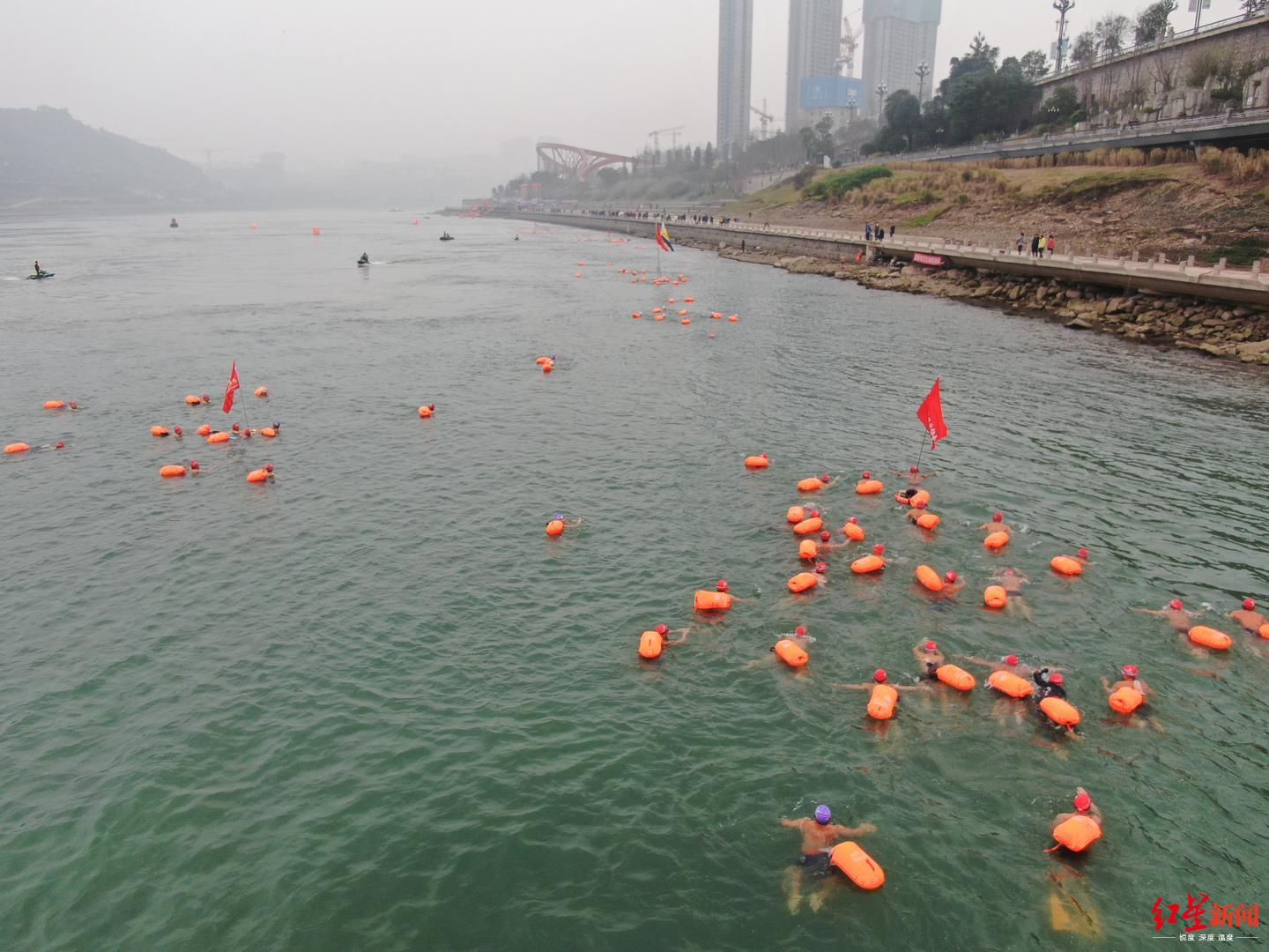 全国1600名冬泳爱好者宜宾横渡长江迎新年