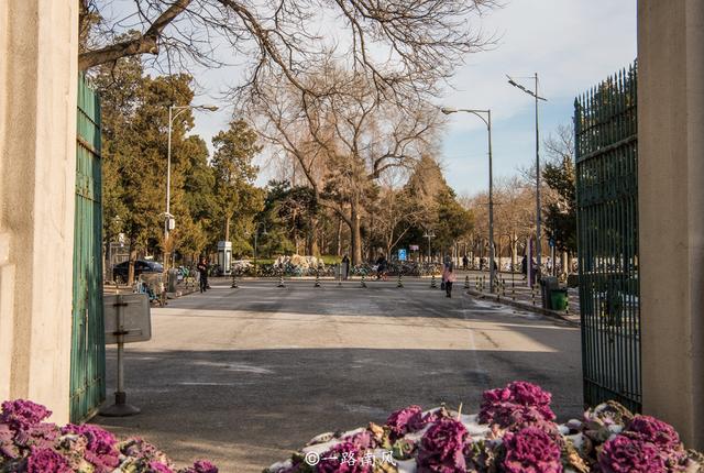 北京清华大学有九个门,为何游客最喜欢西门?还经常进不去