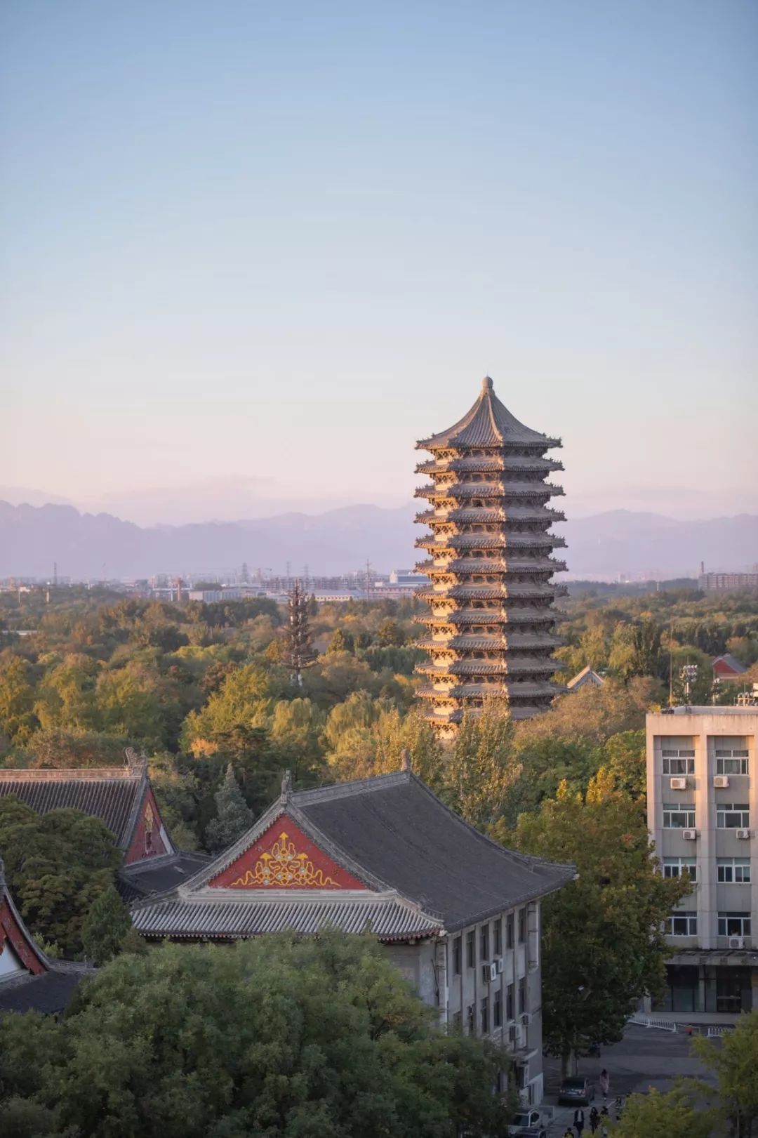 北大发布2019届就业报告不努力无出路