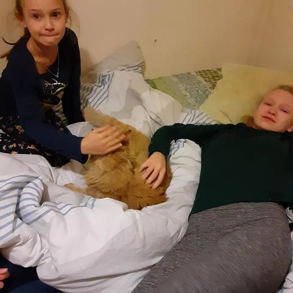 以为爱猫葬身火海,却在圣诞夜出现奇迹,全家重逢抱团大哭!网友:哭了!