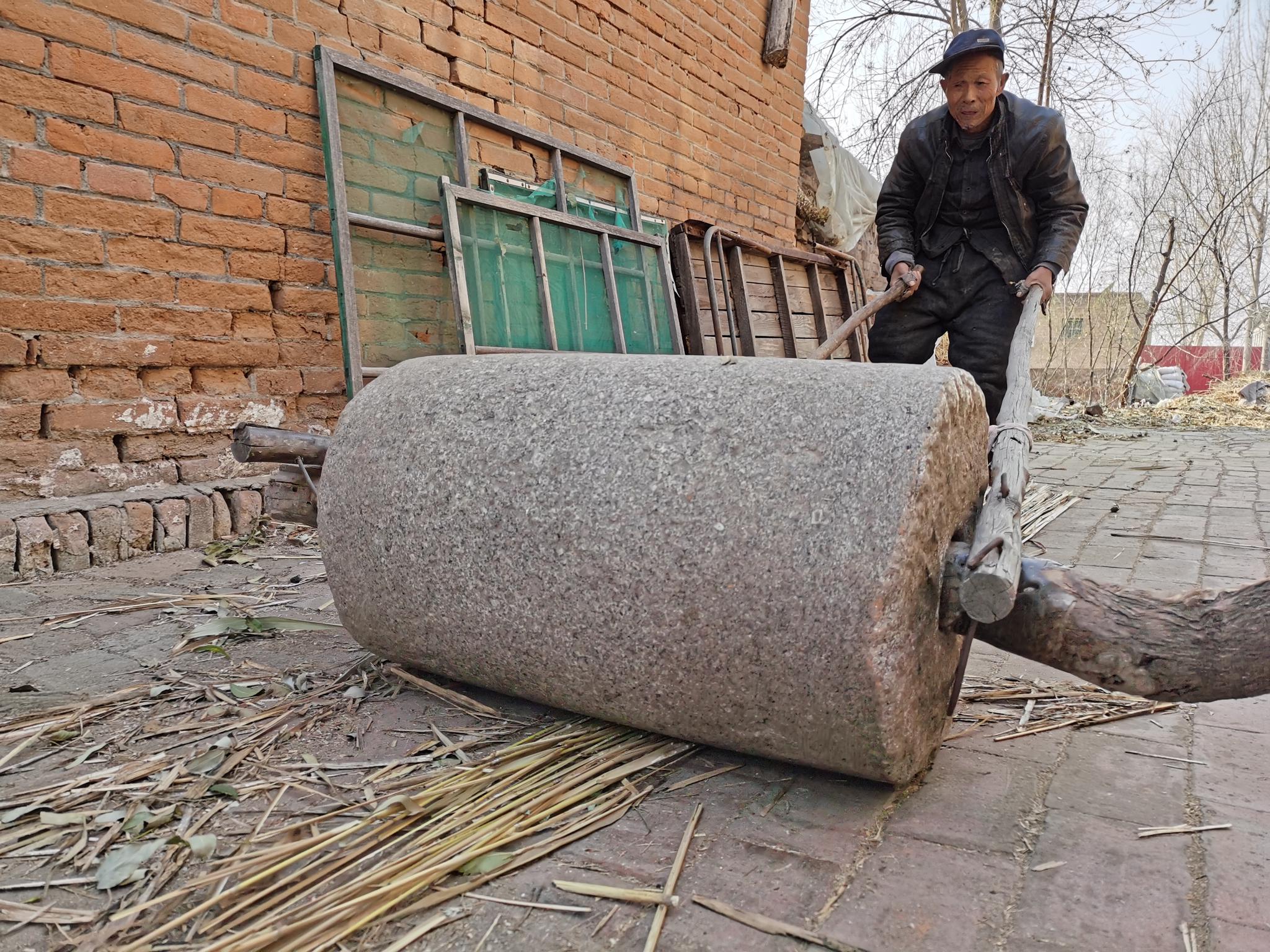 老圆在院子里,用石碾子把芦苇压平压扁好编席子.
