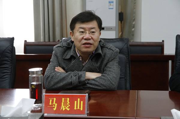 马晨山接替苏波上任新华联董事长