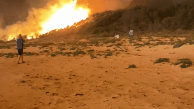 澳洲大火烧死近5亿动物燃烧4个月不灭的真相令人绝望