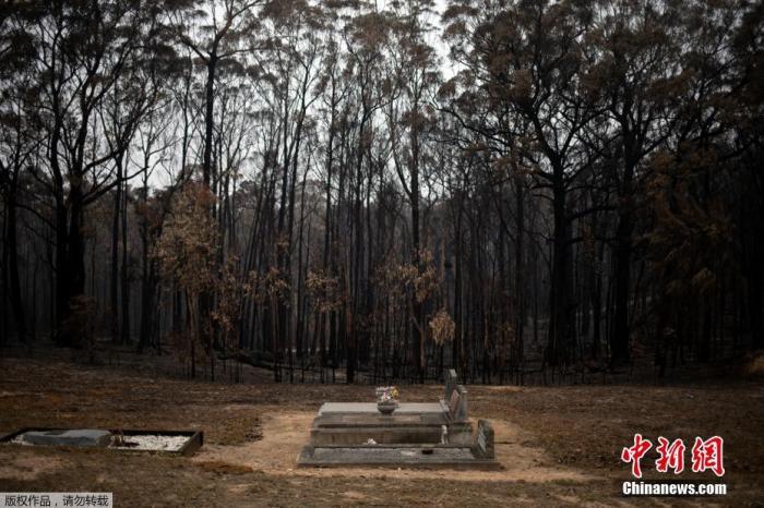 当地时间1月8日，澳大利亚的灾难性山林大火持续肆虐，没有要停止的迹象。被山火“洗礼”过的地方，一片荒芜毫无生机。