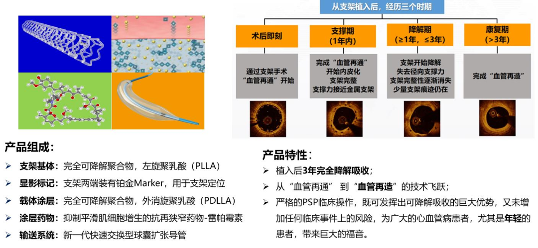 ▲ 图：NeoVas 生物可吸收支架及其特性