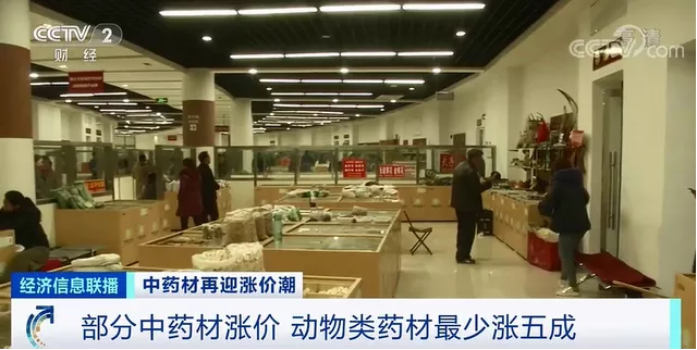 中药材涨价潮来袭：牛黄已涨至20多万元1斤 发生了什么？