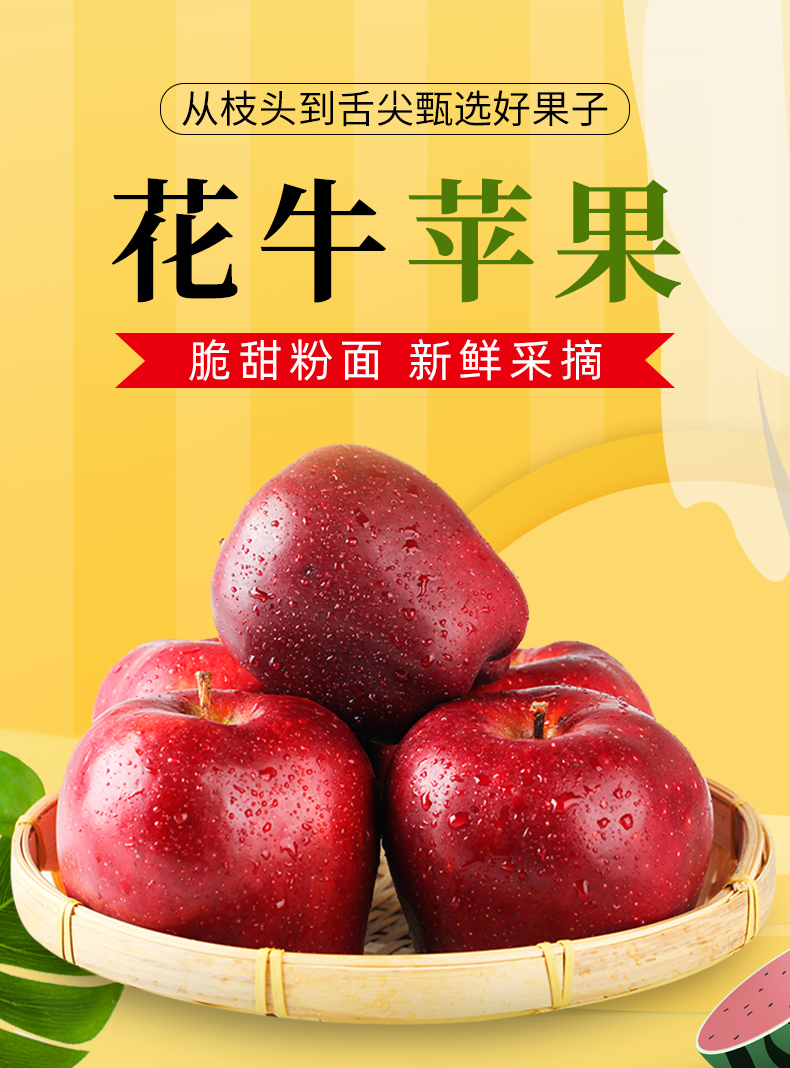 75-80mm,甘肃天水花牛苹果8.5斤21.8元|甘肃_新浪科技_新浪网