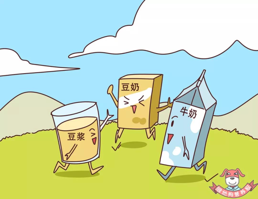 牛奶豆奶豆浆营养有啥区别早餐搭配哪个更适合