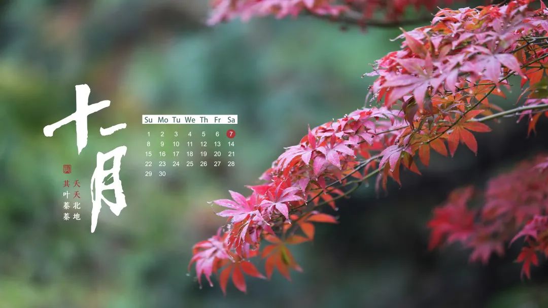十一月你好北地专属月历壁纸已上新
