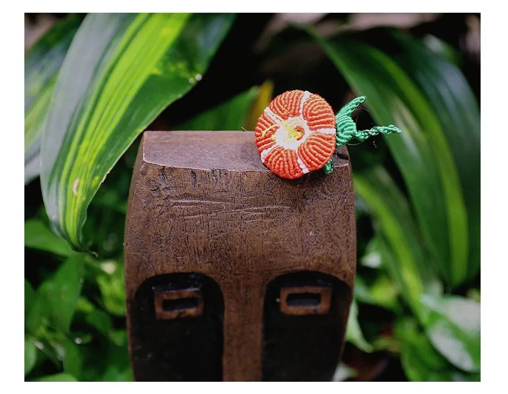 摄影,书画,做手工……他们是最美的"夕阳红"!