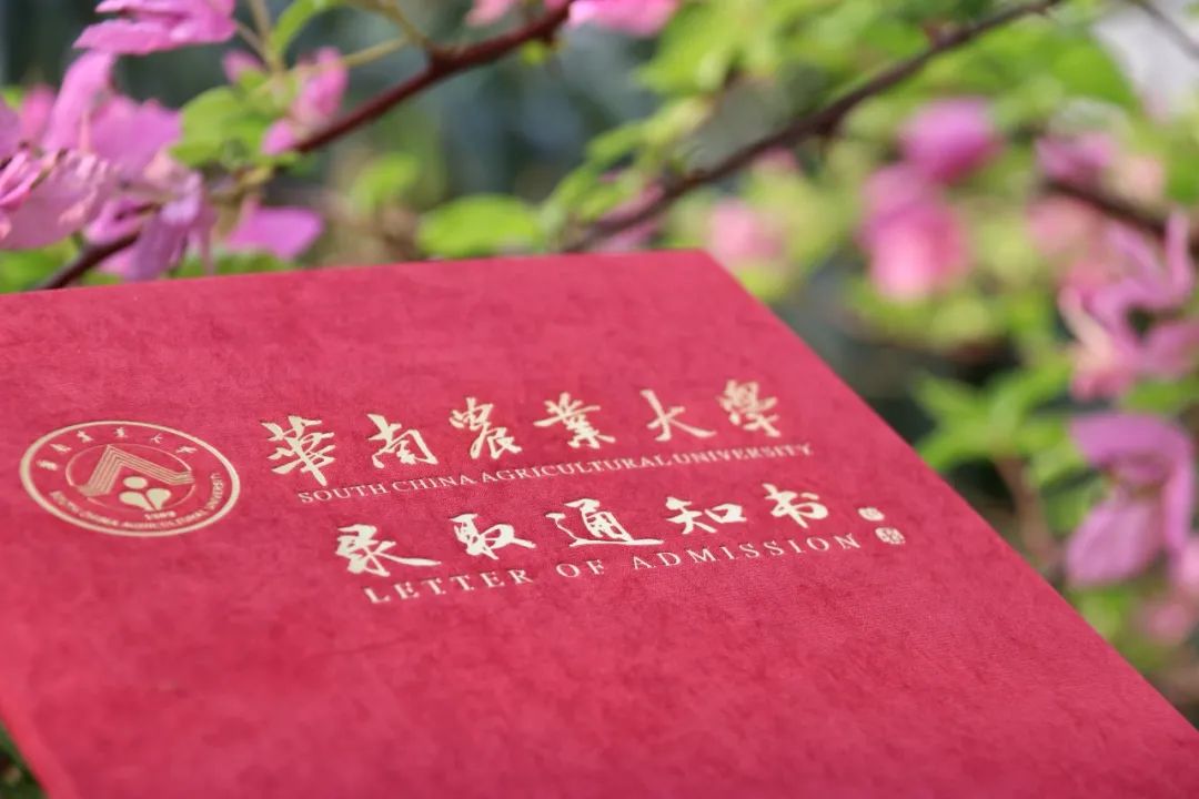 时光回溯,人再少年你会如何选择重启你的大学四年今日耄耋老人重回