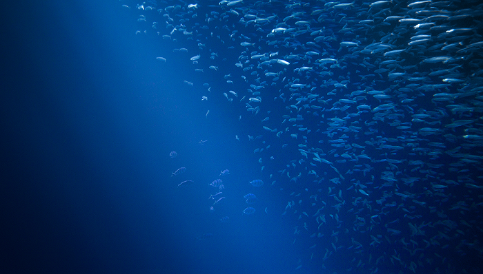 从百米浅海到万米深海,关于潜水器,这些事情你必须知道