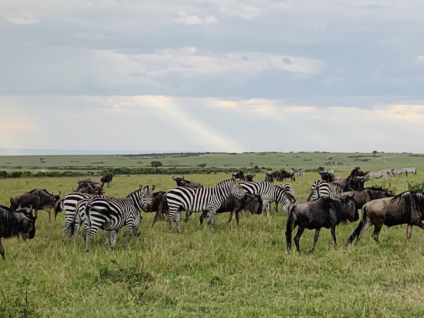 肯尼亚被“世界旅游奖”评为2020年非洲主要旅游目的地