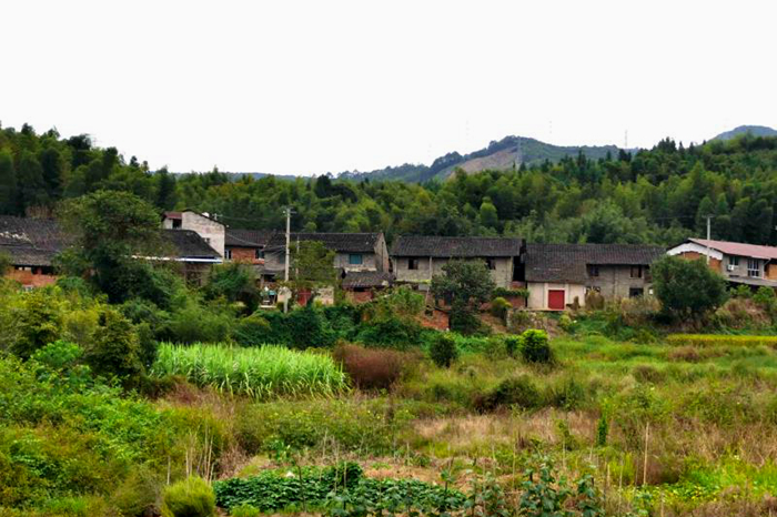 "脱贫攻坚今胜昔"之南平篇|扶贫|脱贫|建阳_新浪新闻