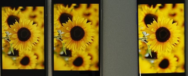 室内色彩,从左到右:iPhone 12 Pro、iPhone 11 Pro Max、一加8 Pro