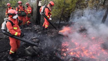 央视|形势严峻！云南多地明年将出现持续4到5级高危森林火险