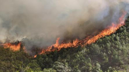 央视|形势严峻！云南多地明年将出现持续4到5级高危森林火险