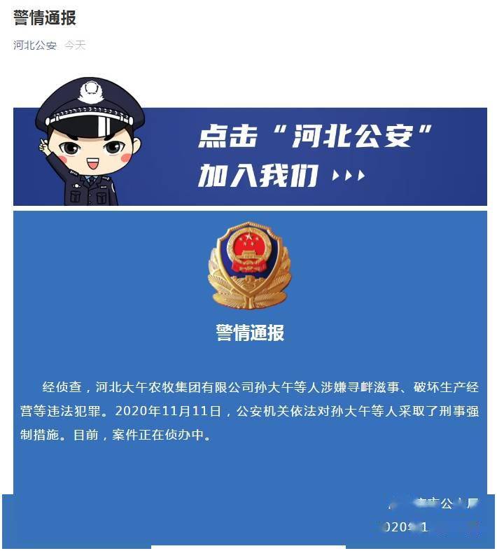 孙大午被采取刑事强制措施已非大午集团董事长 河北 新浪财经 新浪网 孙大午被采取刑事强制措施已非大午集团董事长 河北 新浪财经 新浪网