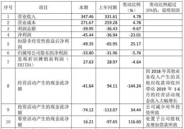 图片来源：紫光集团有限公司公司债券2020年半年度报告 