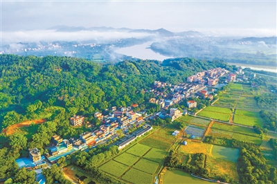 广州最美村庄等你来选