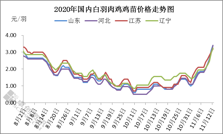 12天内鸡苗价格疯涨超150% 强势行情能持续多久？