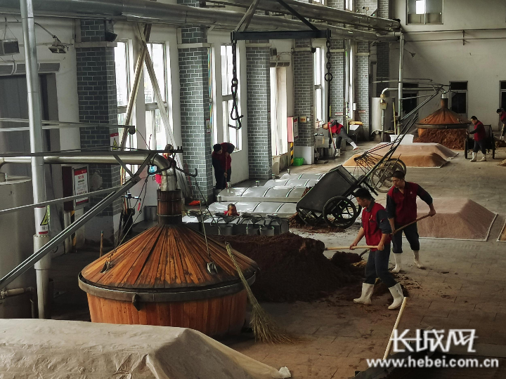 乘风破浪高质前行衡水老白干努力打造传统白酒行业升级新标杆