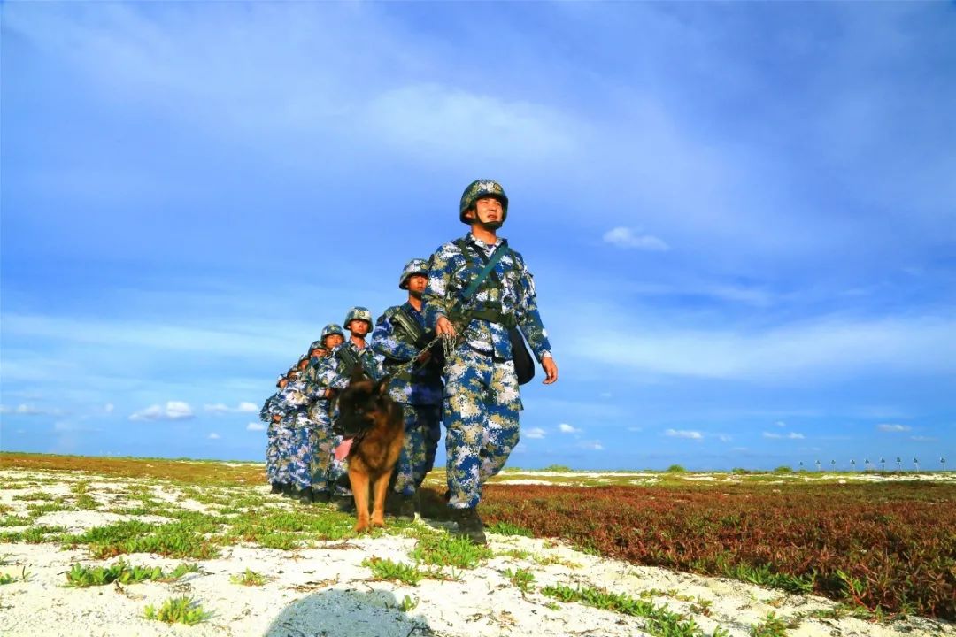 三组镜头带你走进西沙天涯哨兵的家国情怀|琛航岛_新浪军事_新浪网